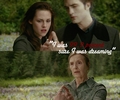 Twilight quotes 21-40 - twilight-series fan art