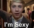 Yes yes you are Niall - one-direction photo