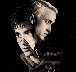 Harry và Draco