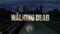 the walking dead night - the-walking-dead photo