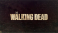 the walking dead - the-walking-dead photo