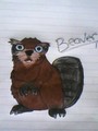 Beaver! - fans-of-pom photo