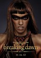 COMIC-CON 2012: The Twilight Saga: Breaking Dawn - Part 2 Character Posters - twilight-series photo
