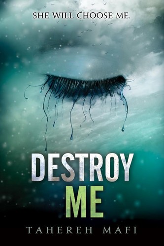  Destroy Me book cover