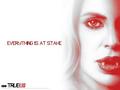 true-blood - Everything is at Stake wallpaper