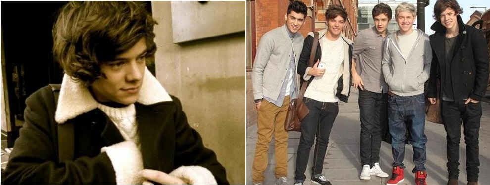 http://images5.fanpop.com/image/photos/31400000/Lou-Harry-clothing-share-larry-stylinson-31431335-990-375.png
