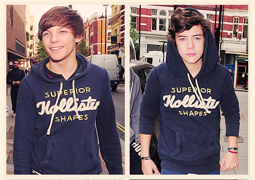 http://images5.fanpop.com/image/photos/31400000/Lou-Harry-clothing-share-larry-stylinson-31431357-527-371.png