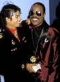 Michael and Stevie - michael-jackson photo