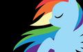 my-little-pony-friendship-is-magic - Rainbow Dash Wallpaper wallpaper
