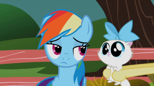 Rainbow dash and a kitty cat