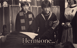  romione hospital wing