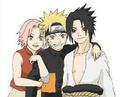 Sakura, Naruto, Sasuke - naruto-shippuuden photo
