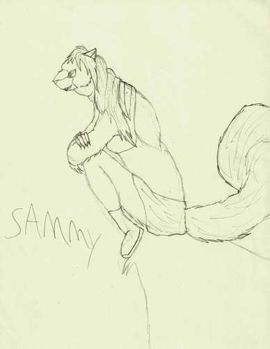  Sammy