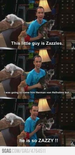  Sheldon at his best!