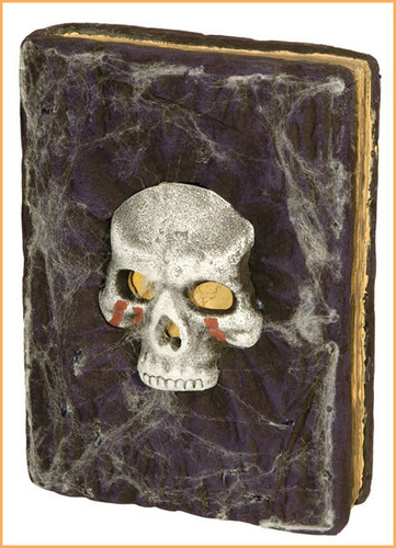  Skull notebook