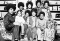The Jackson Family Portrait - michael-jackson photo