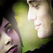 The Twilight Series ♥ - twilight-series icon