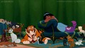 Who Needs Men When You've Got This Many Cats? - disney photo