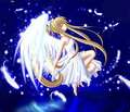 angels - anime photo