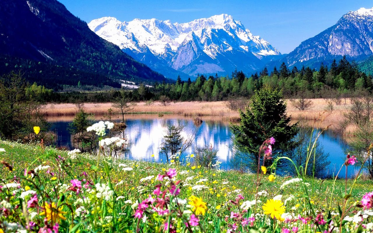 spring in the mountains - Spring Wallpaper (31493838) - Fanpop