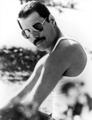  Freddie Mercury  - freddie-mercury photo