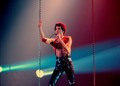  Freddie Mercury - freddie-mercury photo