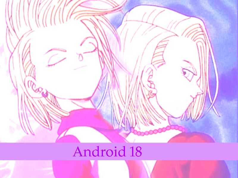 Android 18 (Wallpapers) - Dragon Ball Females Wallpaper (31512947) - Fanpop