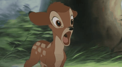  Bambi ♥