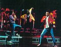 Freddie 1988 - freddie-mercury photo