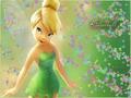 HI! I AM TINKERBELL'S BIGGEST EVER FAN NO MATTER WHAT!!!!!!!!!!!!!!!!!!!!!!!!!!!!!!!!!!!!!!!!!!!!!!! - tinkerbell photo