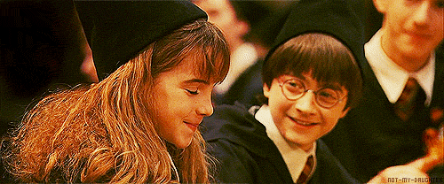  Harry and hermione