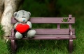 Miss You Teddy Bear  - love photo