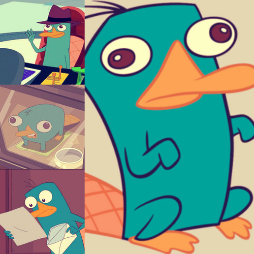  Perry Collage