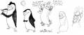 Penguin Sketch attempts - penguins-of-madagascar fan art