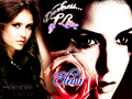 the-vampire-diaries - TVD by DaVe!!! wallpaper