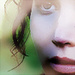 The Hunger Games | ღ - the-hunger-games icon