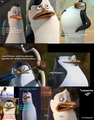 The Nice, Clean Private - penguins-of-madagascar fan art