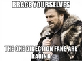 brace yourself!!! - one-direction photo