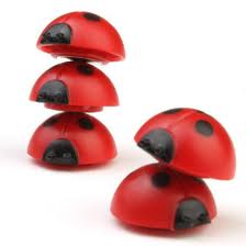  cute ladybug magnets