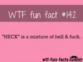 tumblr facts - random photo