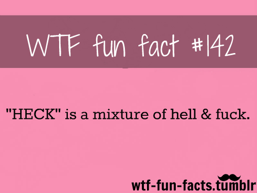  tumblr facts
