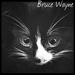 ✰ Bruce Wayne ~ Andy's kitten ✰  - andy-sixx icon