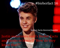 #Bieberfacts <33  - justin-bieber photo