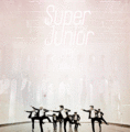 ♥Super Junior SPY!♥ - super-junior photo