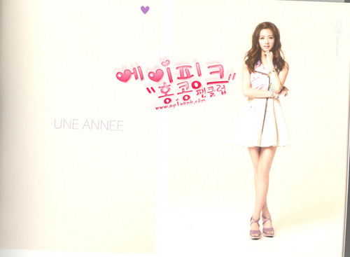 A PINK Photos from Une Annee Album Photobooks
