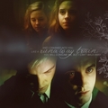 Draco and Hermione - draco-malfoy-and-hermione-granger photo