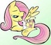 Fluttershy And Angel - fluttershy icon