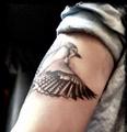 Jay McGuiness Tattoo - the-wanted photo