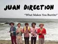 Juan Direction <3 - one-direction photo