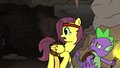 Just Some Random Pony Pictures - my-little-pony-friendship-is-magic photo